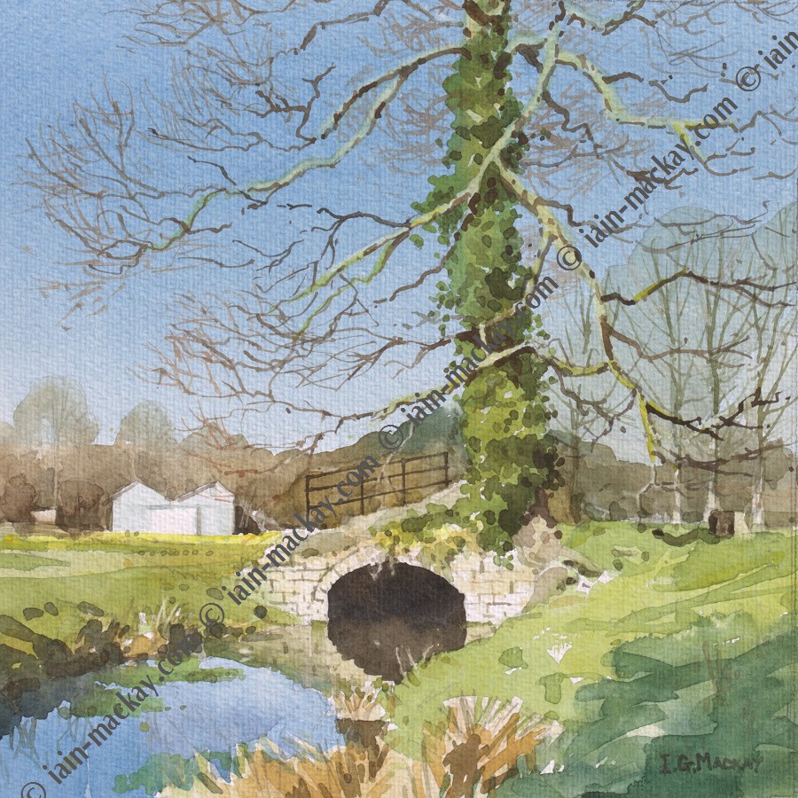 Culvert and Beach Tree Cromford Meadows - Iain McKay